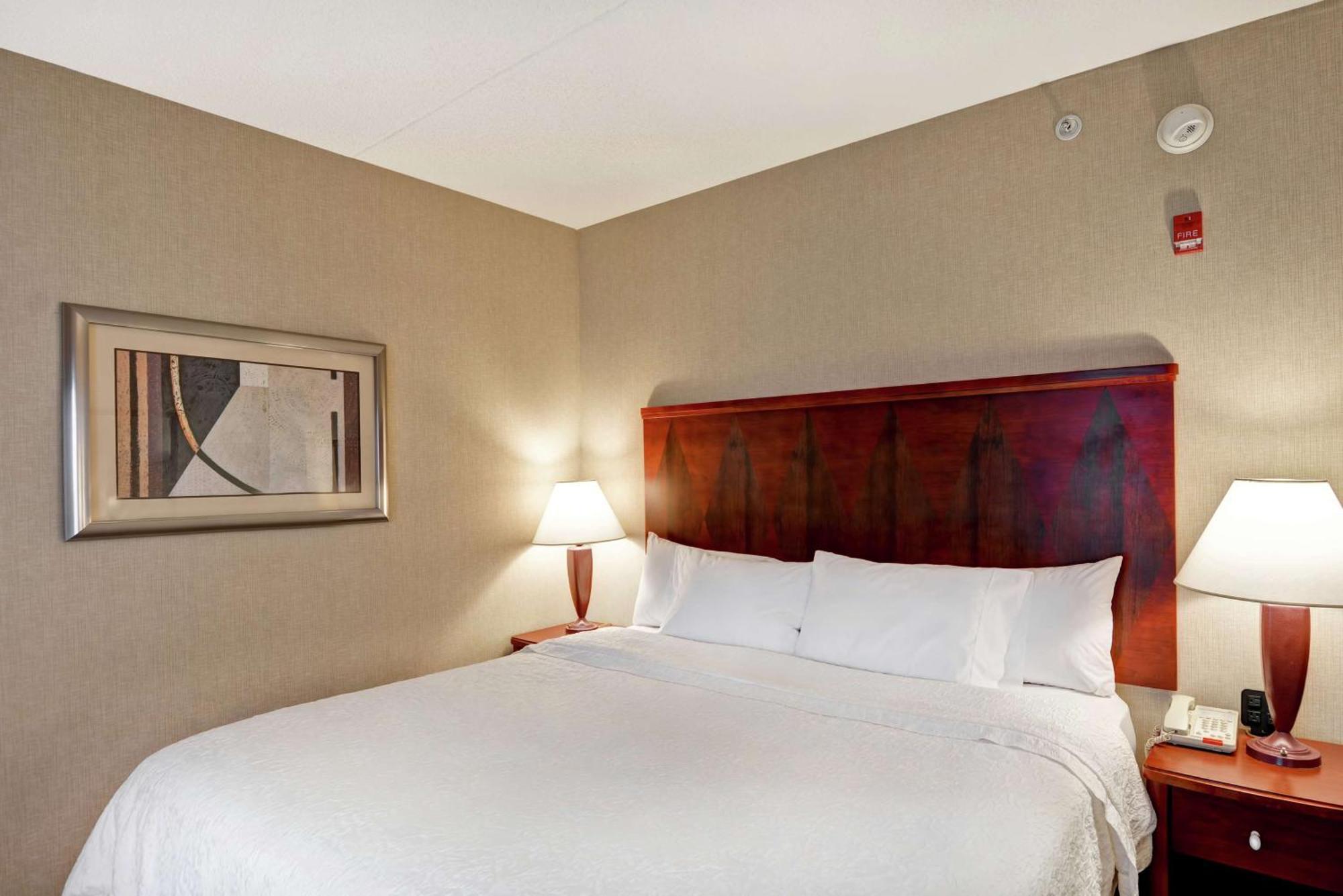 King Room with King Bed - Non-Smoking,1550138839:JPEG