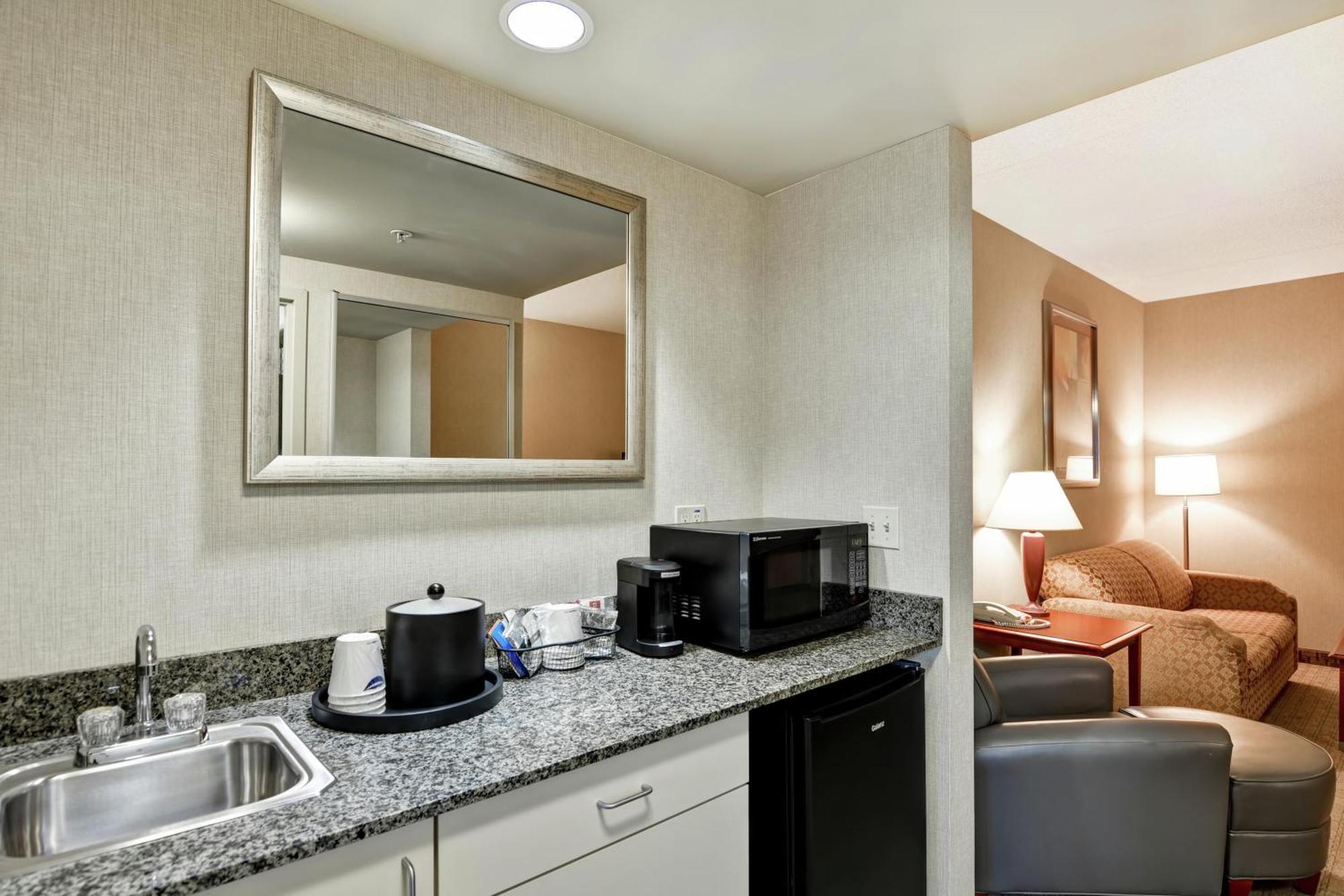 One-Bedroom King Suite Non-Smoking